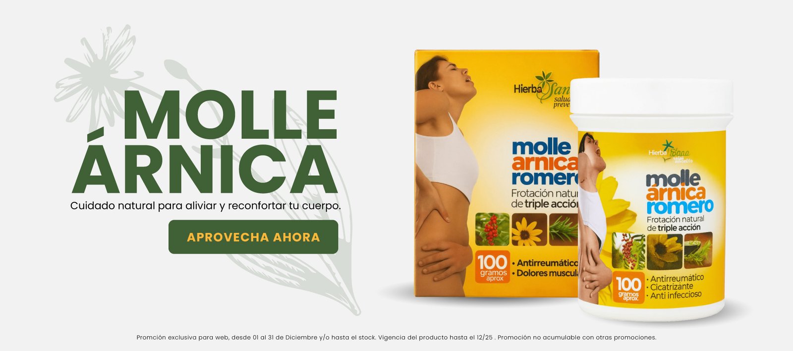 MOLLE-ARNICA
